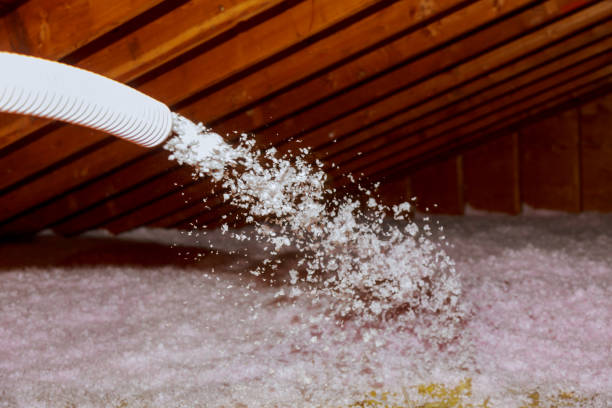 Best Garage Insulation Installation  in Point Pleasant, WV