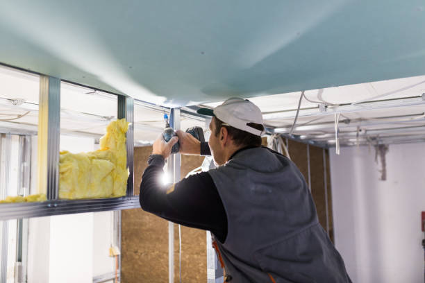 Best Insulation Contractors for Homes  in Point Pleasant, WV