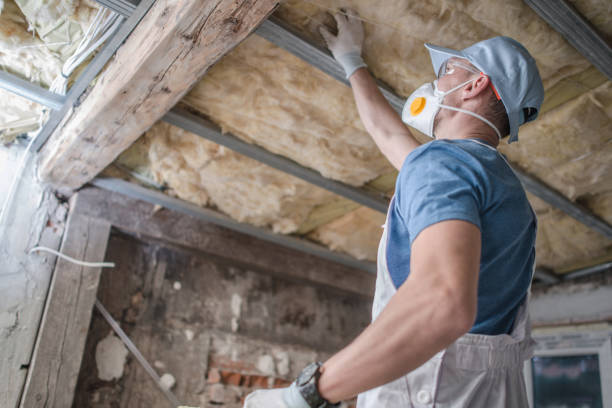 Best Spray Foam Insulation  in Point Pleasant, WV