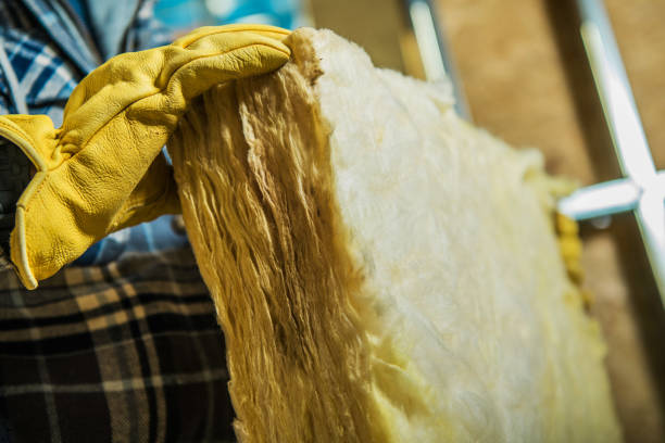 Best Home Insulation Services  in Point Pleasant, WV
