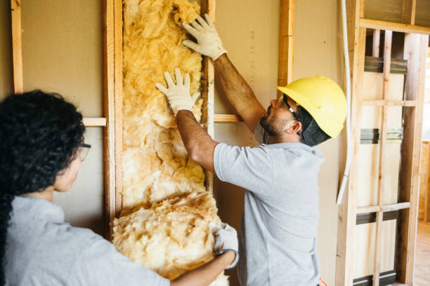Best Spray Foam Insulation  in Point Pleasant, WV