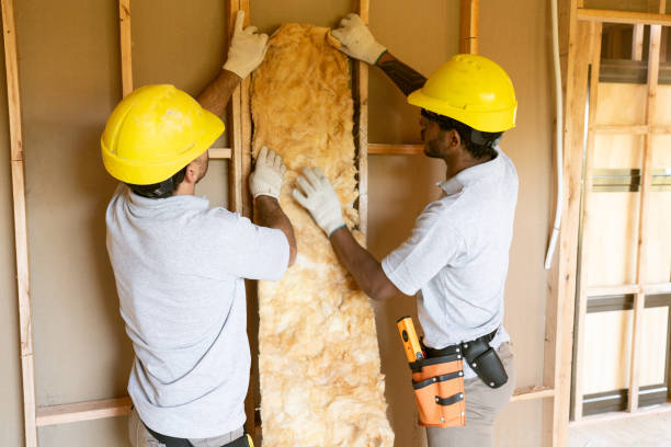 Best Commercial Insulation Contractor  in Point Pleasant, WV