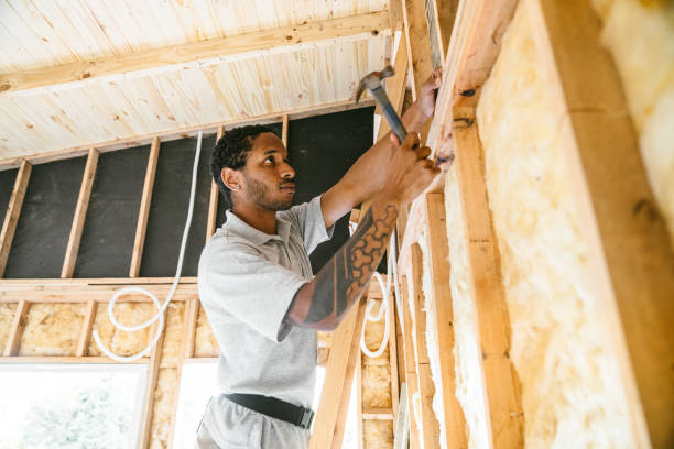 Best Attic Insulation Installation  in Point Pleasant, WV