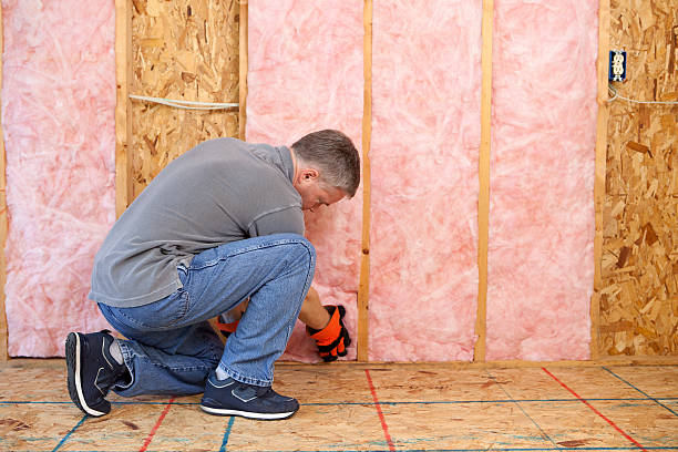 Best Insulation Contractor Near Me  in Point Pleasant, WV