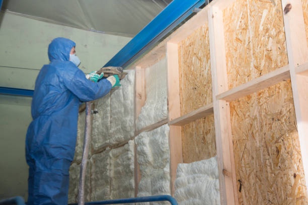 Best Insulation Removal  in Point Pleasant, WV