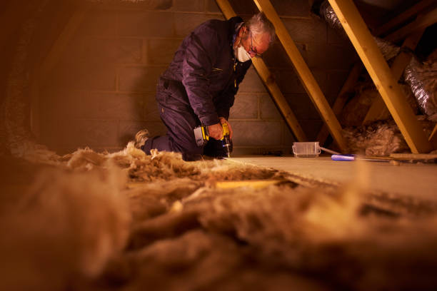 Best Crawl Space Insulation  in Point Pleasant, WV